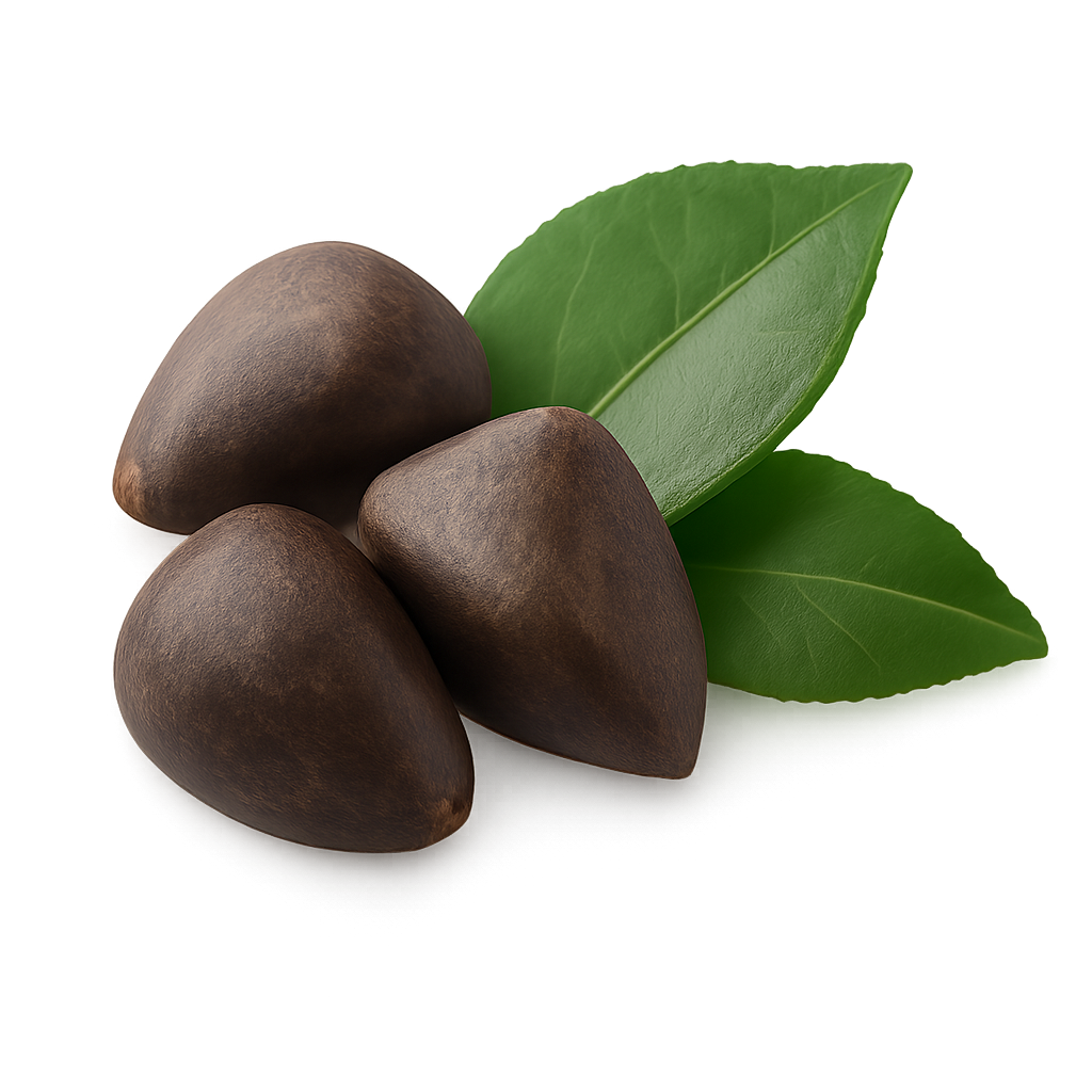 Pure Camellia Seed Oil — Silken Hydration