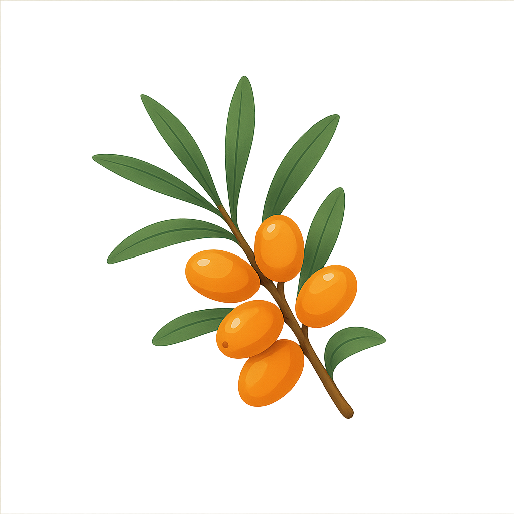 Pure Sea Buckthorn Berry Oil — Brighten & Revitalize