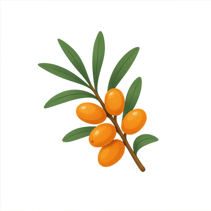 Pure Sea Buckthorn Berry Oil — Brighten & Revitalize