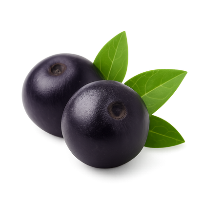 Pure Acai Berry Oil — Antioxidant Shield