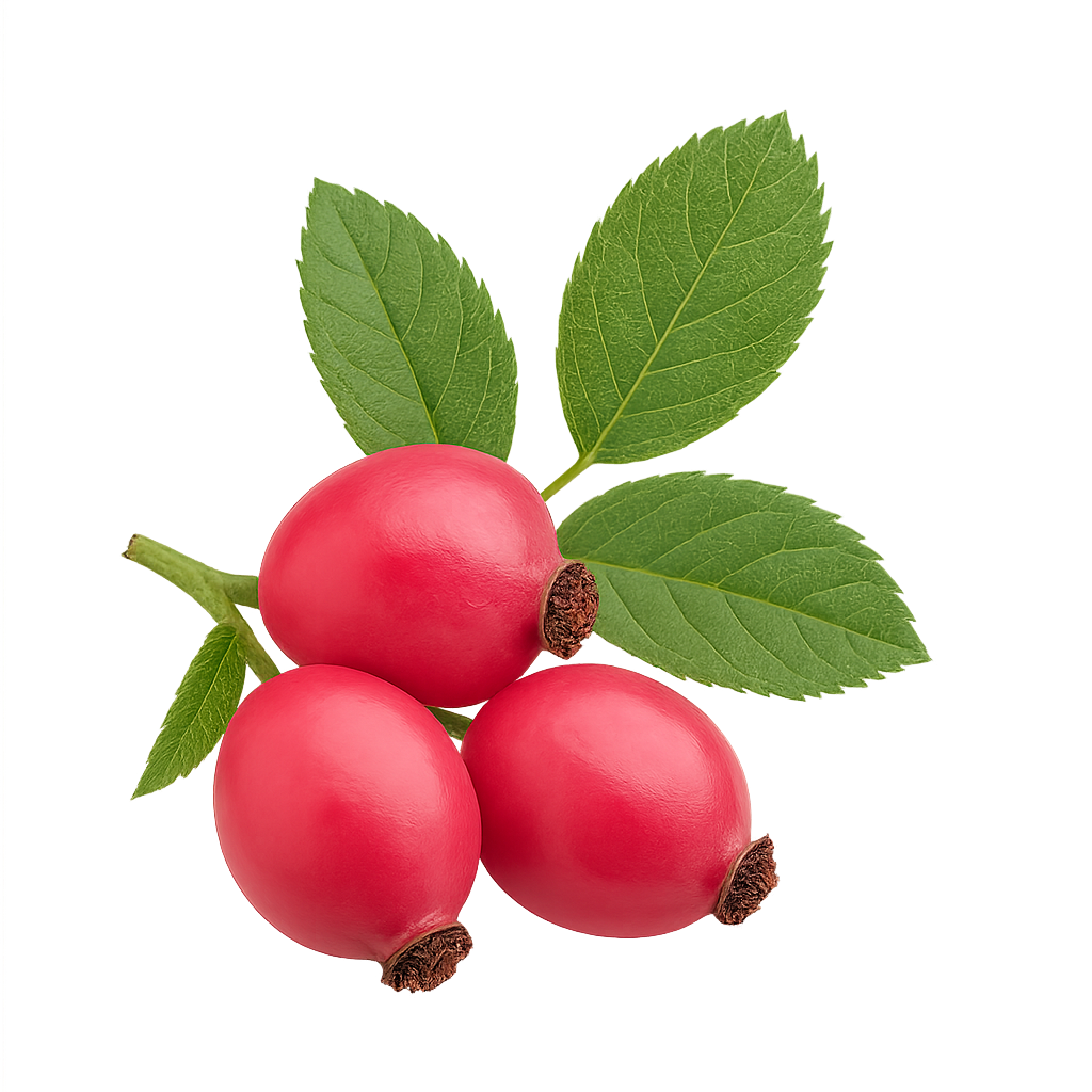Pure Rosehip Seed Oil — Radiance Repair