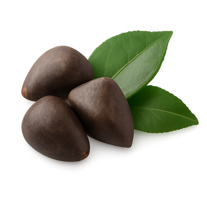 Pure Camellia Seed Oil — Silken Hydration